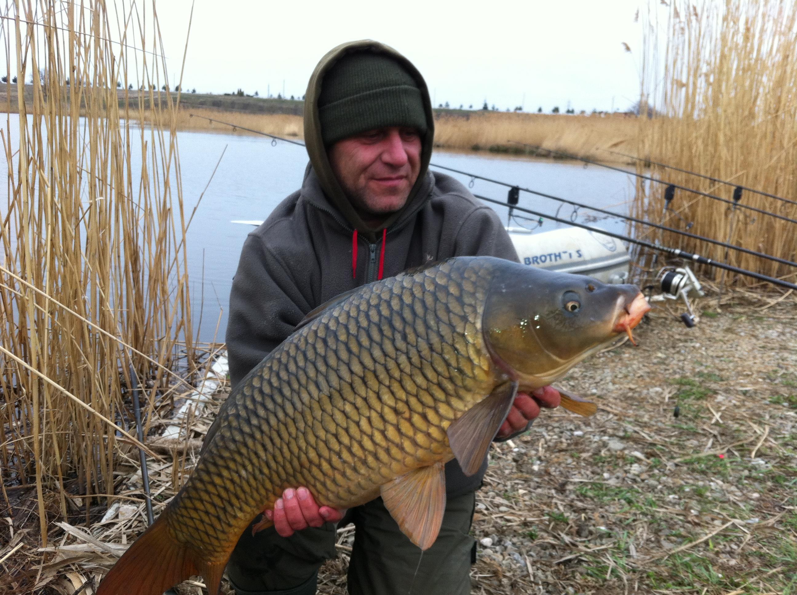 Tancabesti 2012 - aprilie 2012 020.JPG